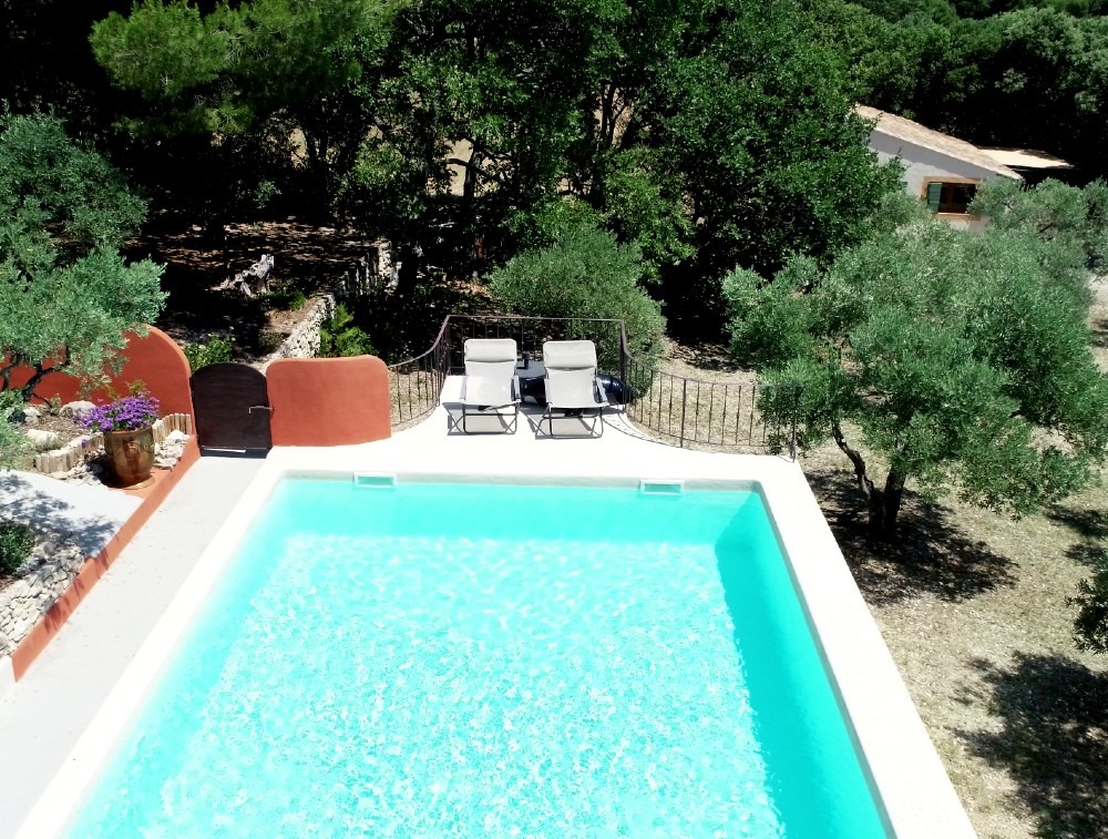 piscine au coeur de l'oliveraie